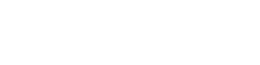 logo bdi vision 2025 2 white