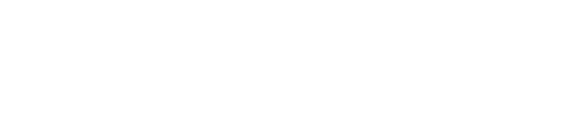 logo bdi vision 2025 2 white